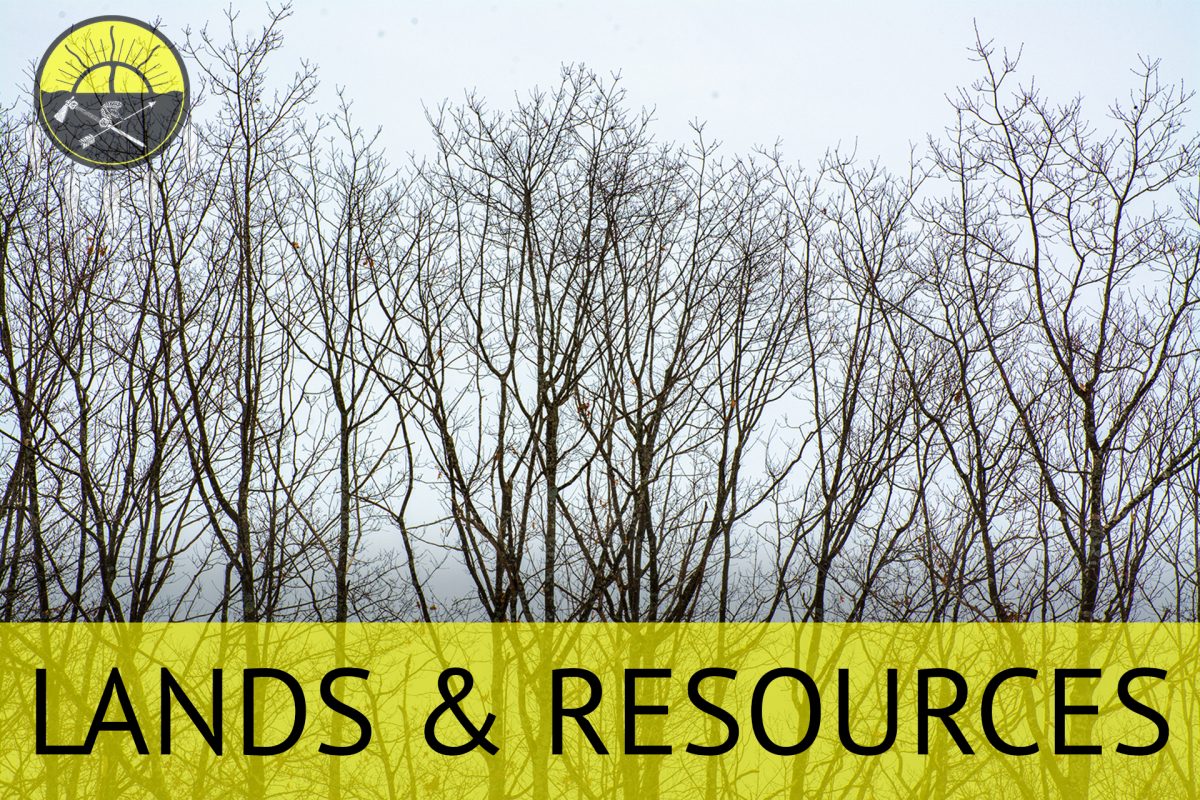 Home Serpent River First Nation