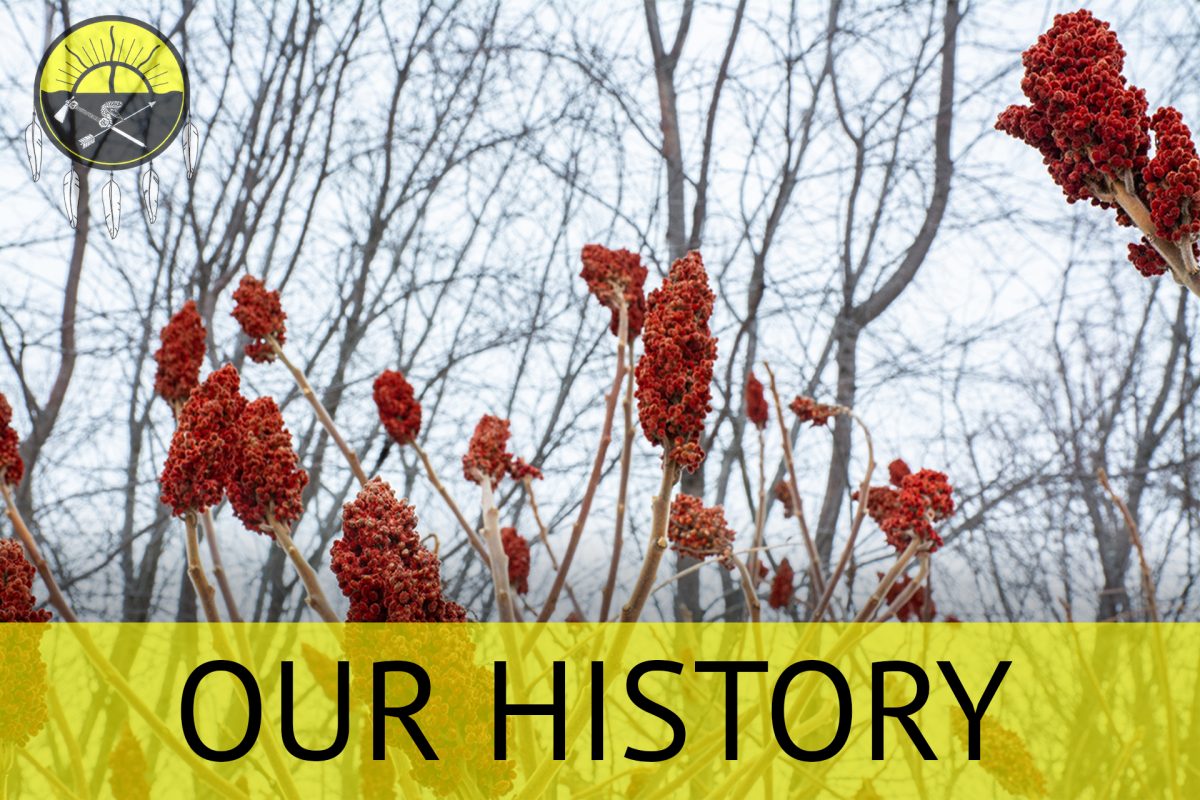 Home Serpent River First Nation